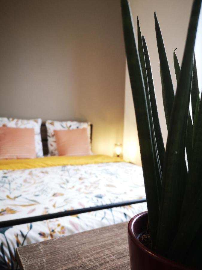 Le Petit Cocon De La Poste Apartman Gourdon-en-quercy Kültér fotó